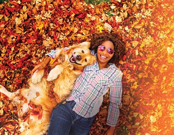 Plan a Dog-Friendly Door County Vacation with This Itinerary